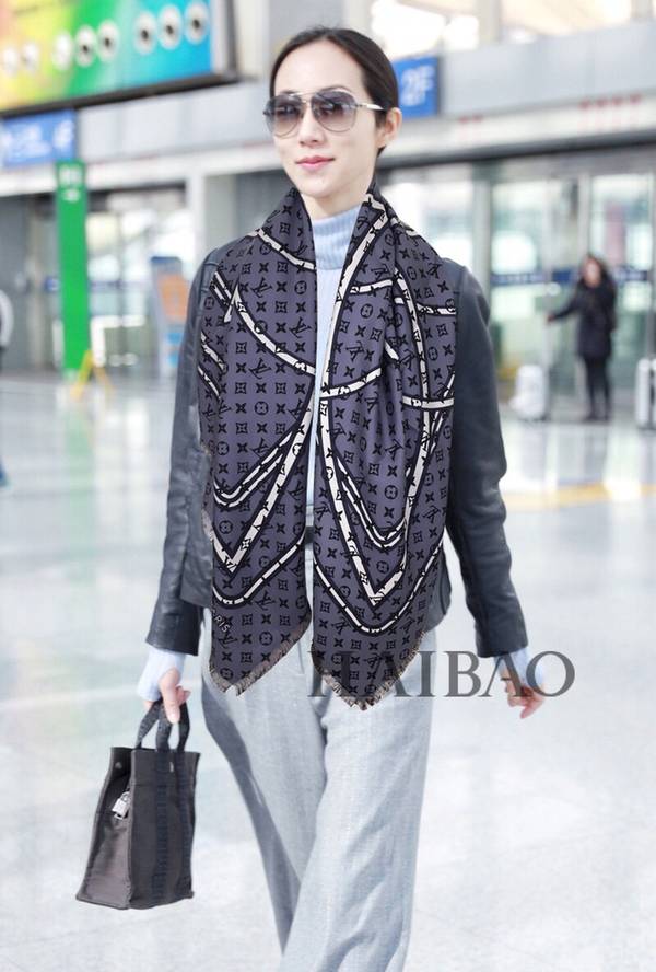 Louis Vuitton Scarf LVC00535 Louis Vuitton Scarf LVC00535